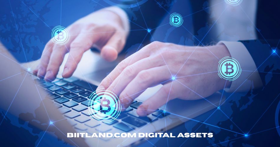 biitland.com digital assets